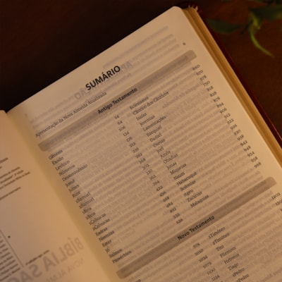 image_01b7bd41-2b07-45b1-a1a2-dbf58acdd873