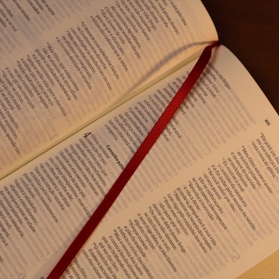 image_8a2bd16d-282d-4e5f-a8d4-98fee3978e33