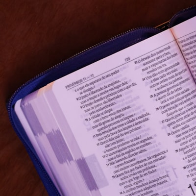 image_e45b40e2-eeb5-4792-b85e-c0da6711806c