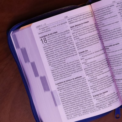 image_00a287b3-8696-49d9-992f-b51af8b38962