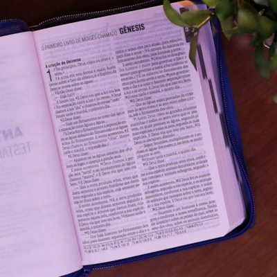 image_aaba0e82-ce4c-4b22-80d9-4e39cb4f6fce