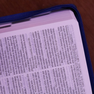 image_cb12ed31-1492-4422-bee3-98c604f55e59