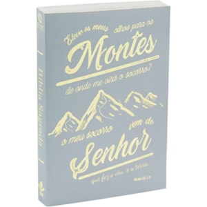 Bíblia Sagrada | NAA | Letra Normal | Capa Brochura Cinza