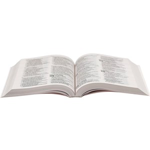 Bíblia Sagrada | NAA | Letra Normal | Capa Brochura Cinza