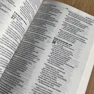 Bíblia Sagrada | NAA | Letra Normal | Capa Brochura Cinza