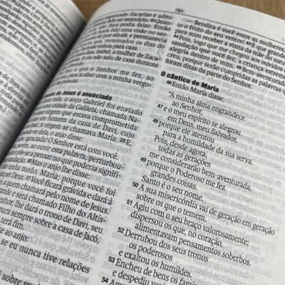 image_297ef9c1-e0f0-4e77-87ce-ee401a0103d3