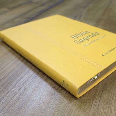 image_5e652686-1b87-44d0-b561-1a551314087d