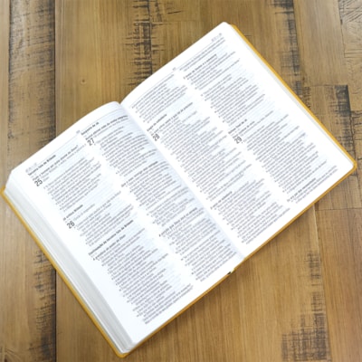 image_c2ed2e46-ce0c-4b9a-bc0d-a68888e46519