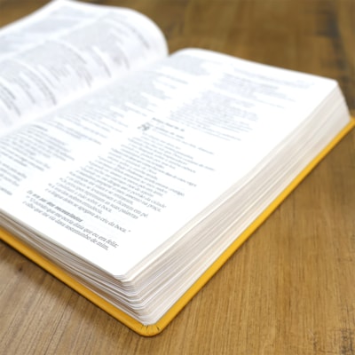 image_dffe1f46-5044-4e4a-910e-4e35e856f16e