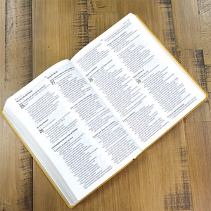Bíblia Sagrada | NAA | Letra Normal | Capa Couro Legítimo Alçafrão