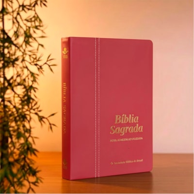 Segunda imagem do produto Bíblia Sagrada | NAA | Letra Normal | Capa Couro Legítimo Malagueta
