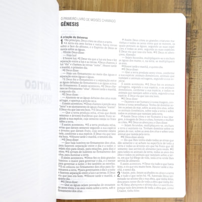 image_d1c377dc-79f9-43e1-8868-53a016bb9b31