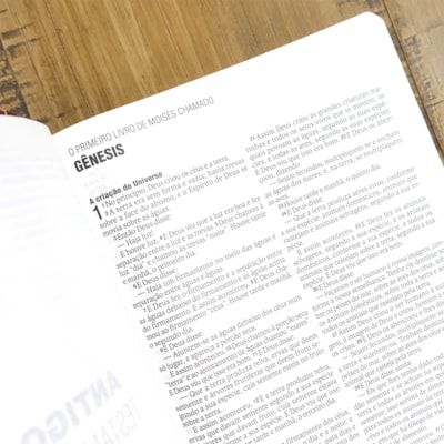 image_c95a4701-ed5e-41a8-afd6-556ac9cc0b0e