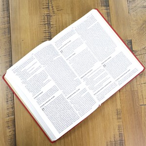 Bíblia Sagrada | NAA | Letra Normal | Capa Couro Legítimo Malagueta