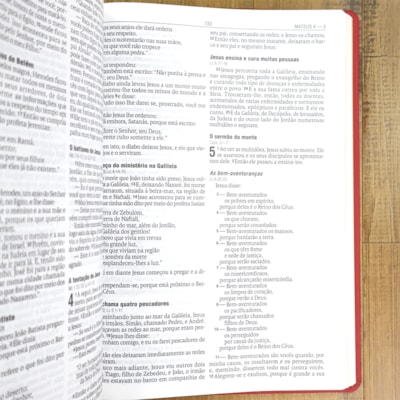 image_ee4c05bd-18b8-4f13-bfe0-5de510db0f89