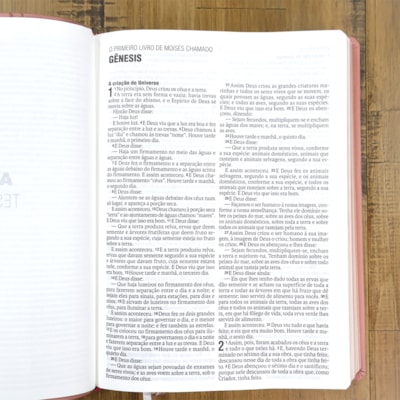 image_53f3ddfa-be63-4069-9ead-b9f3469802ed