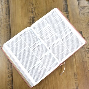 Bíblia Sagrada | NAA | Letra Normal | Capa Couro Legítimo Rosa