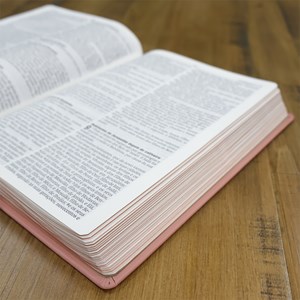 Bíblia Sagrada | NAA | Letra Normal | Capa Couro Legítimo Rosa