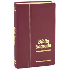 Bíblia Sagrada | NAA | Letra Normal | Capa Couro Legítimo Rubi