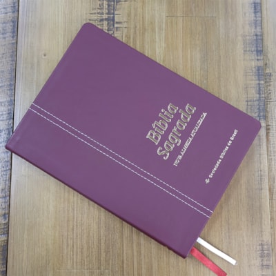 Segunda imagem do produto Bíblia Sagrada | NAA | Letra Normal | Capa Couro Legítimo Rubi