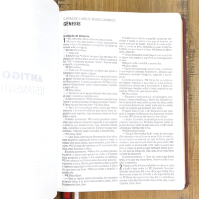 image_da60928b-a0bf-4105-8ef6-c08f30c93780