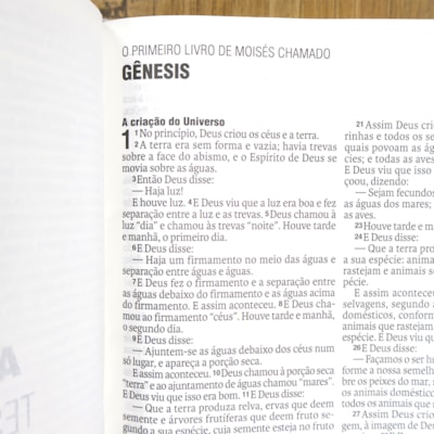 image_0e779c51-531e-4098-a214-8979cbcac1fc