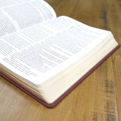 image_b4fe26c1-aebf-4eae-9c6c-0d7a44d58566