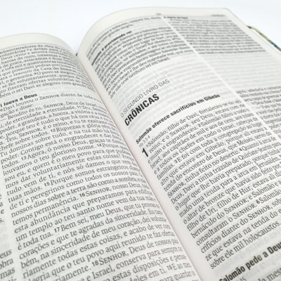 image_52fb0292-30e4-4d82-91a5-d43c29f67738