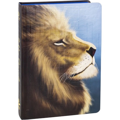 Imagem Principal - 3e8aac83-d0ed-45fb-9174-d4410c567a5f