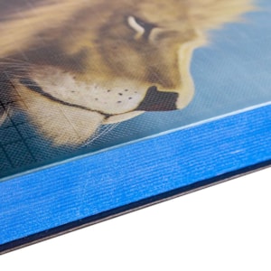 Segunda imagem do produto Bíblia Sagrada | NAA | Letra Normal | Capa Dura Leão