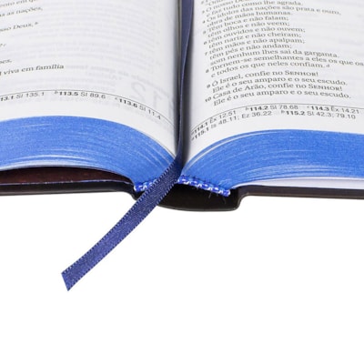 image_67c92a84-35dd-4a0a-a136-915d4c7e1436