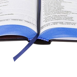 Bíblia Sagrada | NAA | Letra Normal | Capa Dura Leão