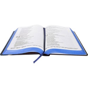 Bíblia Sagrada | NAA | Letra Normal | Capa Dura Leão