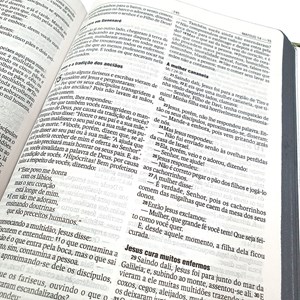 Bíblia Sagrada | NAA | Letra normal | Capa Dura Leão Cinza Turquesa