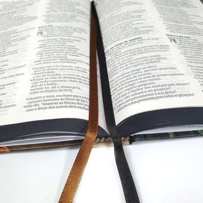 image_a9ece25d-e9d9-4faa-8a82-3328da11f2e8