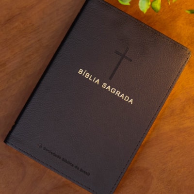 image_668a374d-e69e-4b03-88ee-890262863740