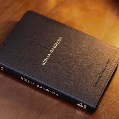 image_e334c516-32a1-4d92-8ff4-1160601da7c6