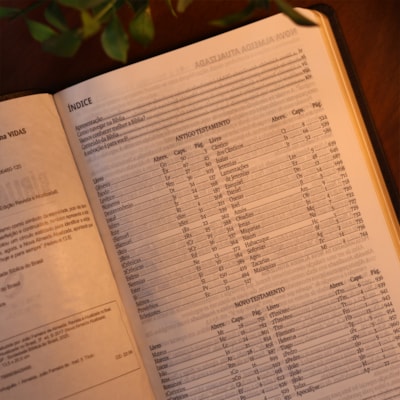 image_6eab2466-48bf-4d5b-b913-98cd4f68252f