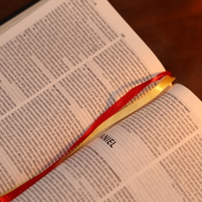 image_141bedb4-81a5-4a96-99b6-34a29fbe6d73