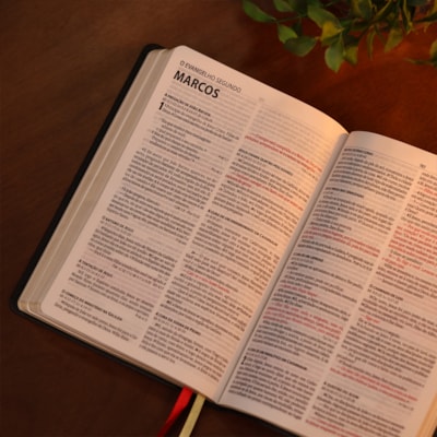 image_7905c7bb-0249-4adb-956e-d83bc55144f0