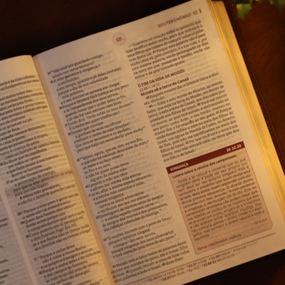 image_1f6c89d9-7173-4373-a06b-0c4110ac46e7