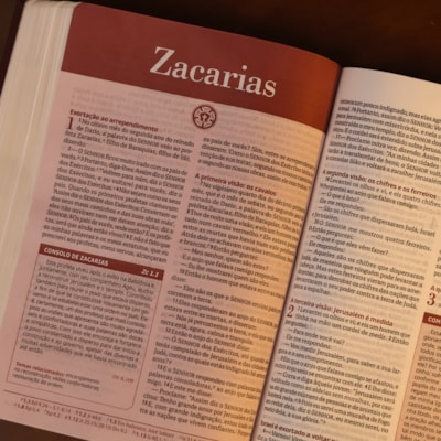 image_92f5d4e4-9d9b-471d-a1b1-b5922b9f8d59