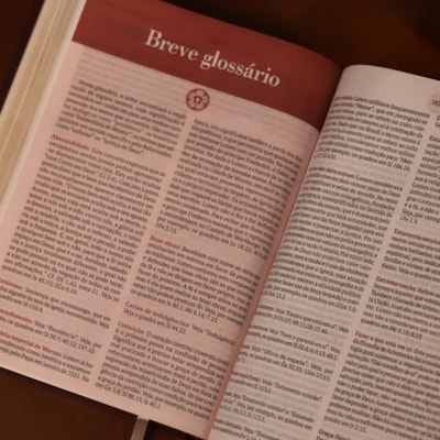 image_113a42b4-de50-4596-bd75-b309cdc9452d