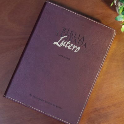 image_ad164590-b695-458c-8026-609c31f3ff4f