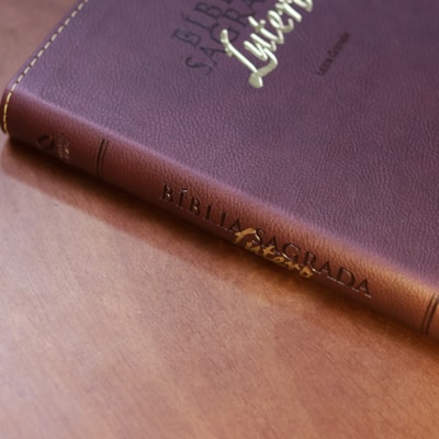 image_eacac61d-11cd-4c65-8c02-900ce5d462d1