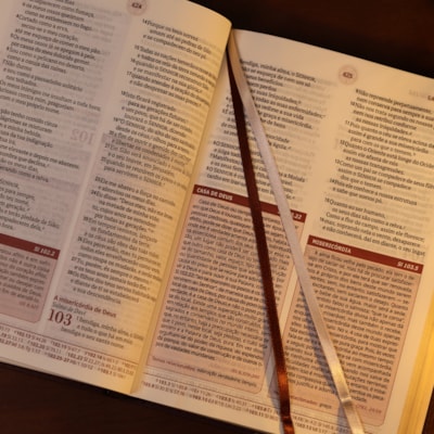 image_d8af4056-4eb3-4191-88d3-2746953ad756