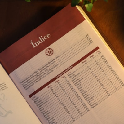 image_fe7fcaa3-4aea-4460-9ac3-5bea46733178