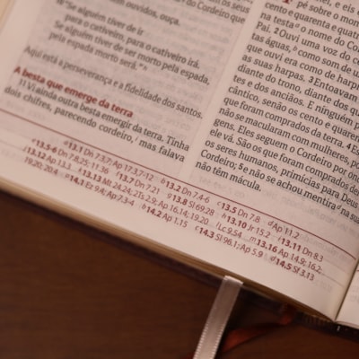 image_9a202ad4-cd3a-46a9-b5e2-e5c2785a4b5e