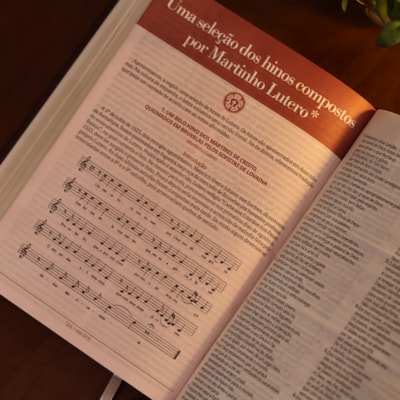 image_5e1dfcec-00b2-4baf-b927-b3c9fbb2987a