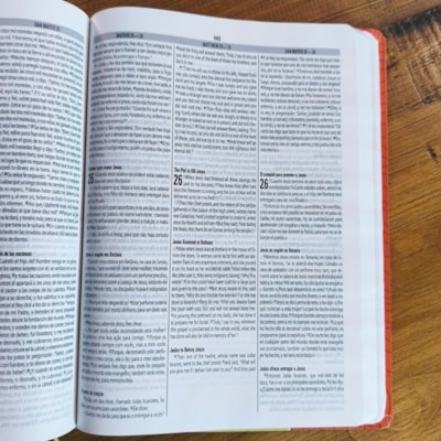 image_c738ba9b-80e1-4e4d-a47f-8277ebedfe2e